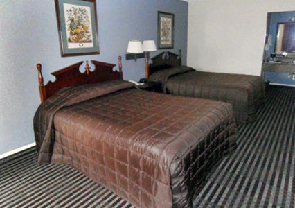 Loyalty Inn Gainesville Chambre photo